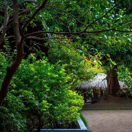 Arugambay Coco Bay Hotell Arugam Bay Exteriör bild