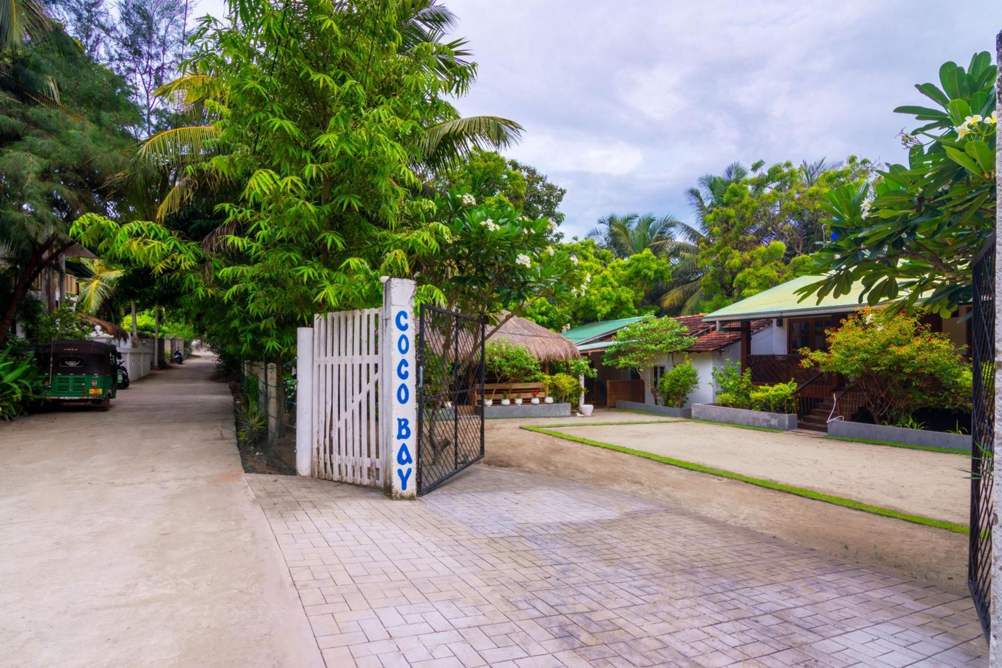 Arugambay Coco Bay Hotell Arugam Bay Rum bild
